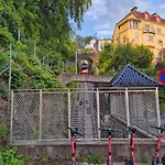 Nydelig Hus Med Privat Hage Og Fantastisk Utsikt Over Fisketorget, Bryggen Og Sentrum דירה *