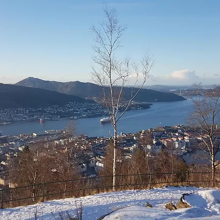 Nydelig Hus Med Privat Hage Og Fantastisk Utsikt Over Fisketorget, Bryggen Og Sentrum