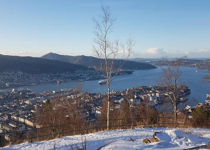 Nydelig Hus Med Privat Hage Og Fantastisk Utsikt Over Fisketorget, Bryggen Og Sentrum